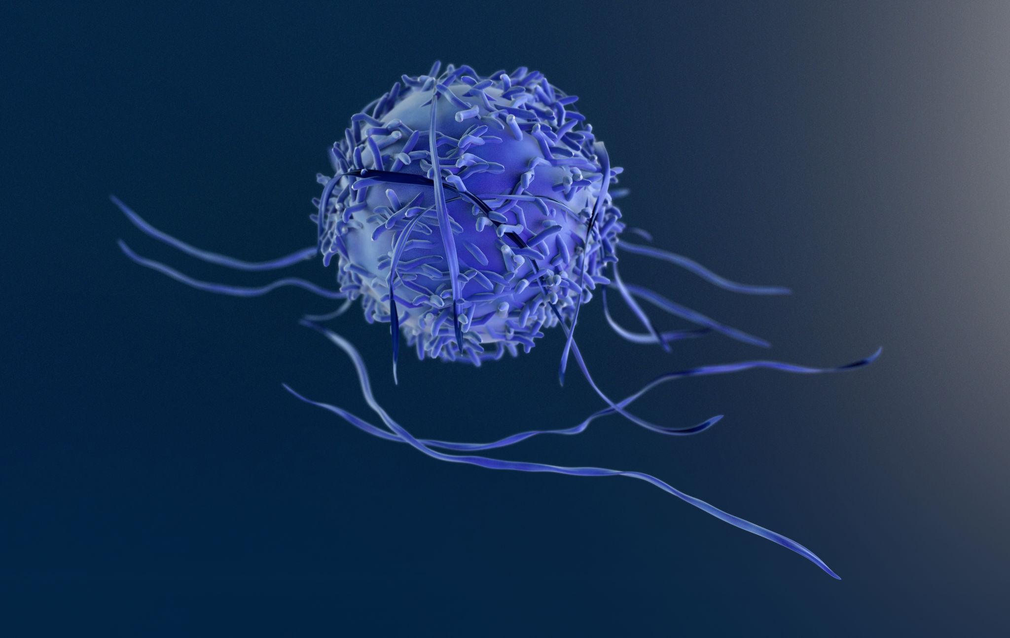 Oncology Research & Clinical Trials